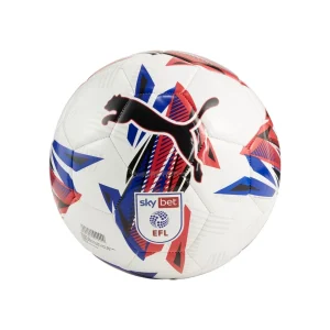 10 x Puma Orbita 6 EFL Sky Bet Training Football 24/25
